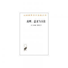 汉译世界学术名著丛书:真理、意义与方法