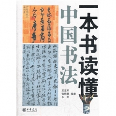 新华图书 支持正版 一本书读懂中国书法