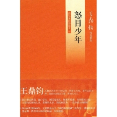 怒目少年