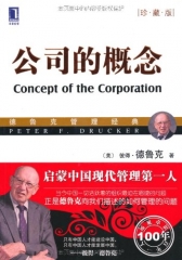 公司的概念(珍藏版)