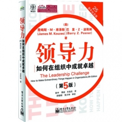 领导力：如何在组织中成就卓越（第5版）