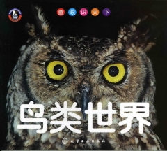 童眼识天下/鸟类世界