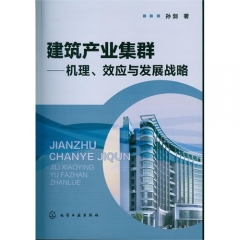 建筑产业集群——机理、效应与发展战略