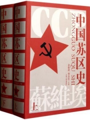 中国苏区史（上下册、精）