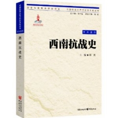 西南抗战史/中国抗战大后方历史文化丛书