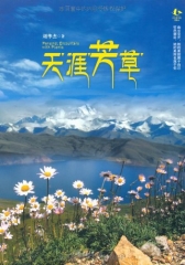 天涯芳草
