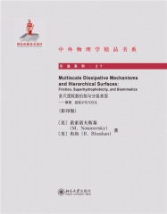 多尺度耗散机制与分级表面——摩擦、超疏水性与仿生（英文版.影印版）
