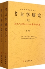 考古学研究（九）（上下册）