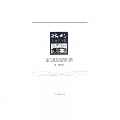 走在眼里的风景/冰心儿童图书奖获奖作品