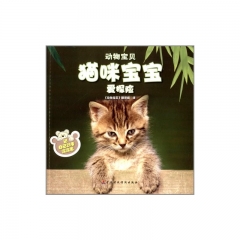 猫咪宝宝爱探险.动物宝贝