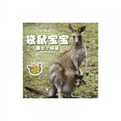 袋鼠宝宝露出小脑袋.动物宝贝