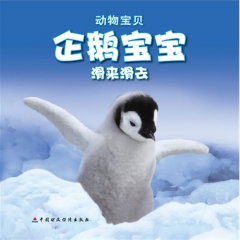 企鹅宝宝滑来滑去.动物宝贝