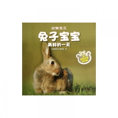 兔子宝宝美好的一天.动物宝贝