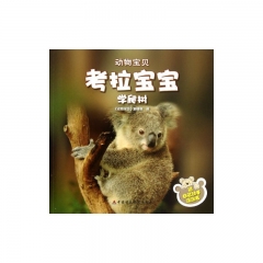 考拉宝宝学爬树.动物宝贝
