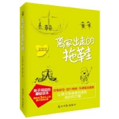 离家出走的拖鞋