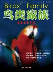 鸟类家族/探秘动物王国