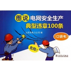 图说电网安全生产典型违章100条（口袋书）