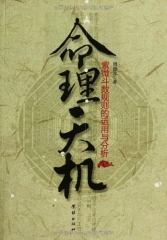 命理天机 紫微斗数规则的运用与分析