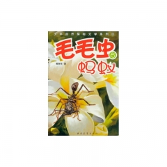 毛毛虫与蚂蚁