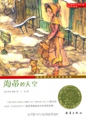 海蒂的天空/国际大奖小说 升级版
