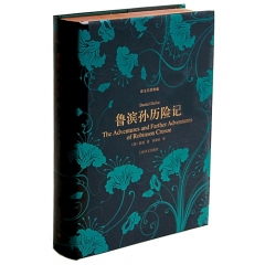 鲁滨孙历险记（精）