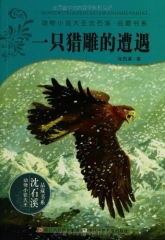 一只猎雕的遭遇