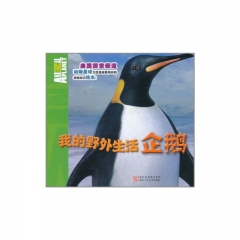 我的野外生活：企鹅
