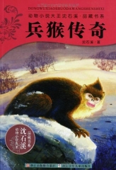 兵猴传奇/动物小说大王沈石溪.品藏书系