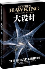 大设计（精）