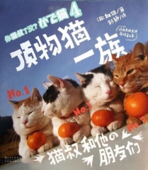 你猫叔了没  4？顶物猫一族
