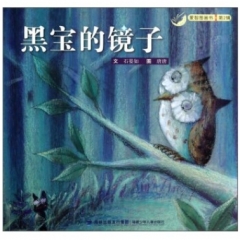 黑宝德镜子
