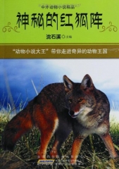 神秘的红狐阵/中外动物小说精品