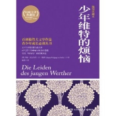 少年维特的烦恼