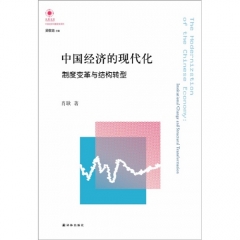 中国经济的现代化：制度变革与结构转型