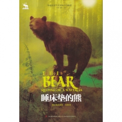 睡床垫的熊