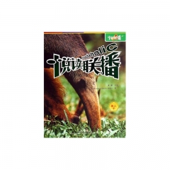 悦读联播.高二.下(含光盘)