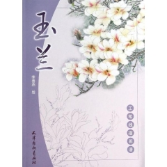 工笔线描画谱 玉兰