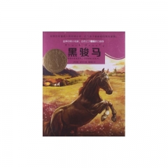 黑骏马
