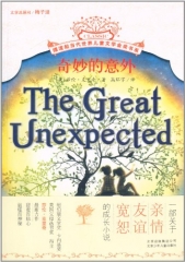 奇妙的意外
