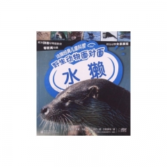 法国经典儿童科普. 野生动物面对面—水獭
