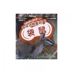 法国经典儿童科普. 野生动物面对面—袋鼠