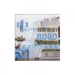 中小户型背景墙设计8000例.玄关与过道背景墙(附光盘)