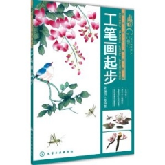 美术入门基础教程--工笔画起步