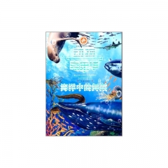 动物嘉年华：海洋中的舞蹈