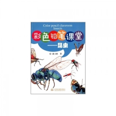 彩色铅笔课堂——昆虫