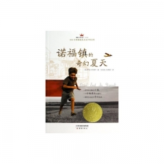 国际大奖小说-诺福镇的奇幻夏天