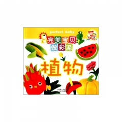 完美宝贝做彩泥·植物