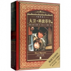 大卫 科波菲尔（上、下）