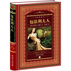 新华图书 支持正版 包法利夫人