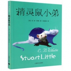 精灵鼠小弟